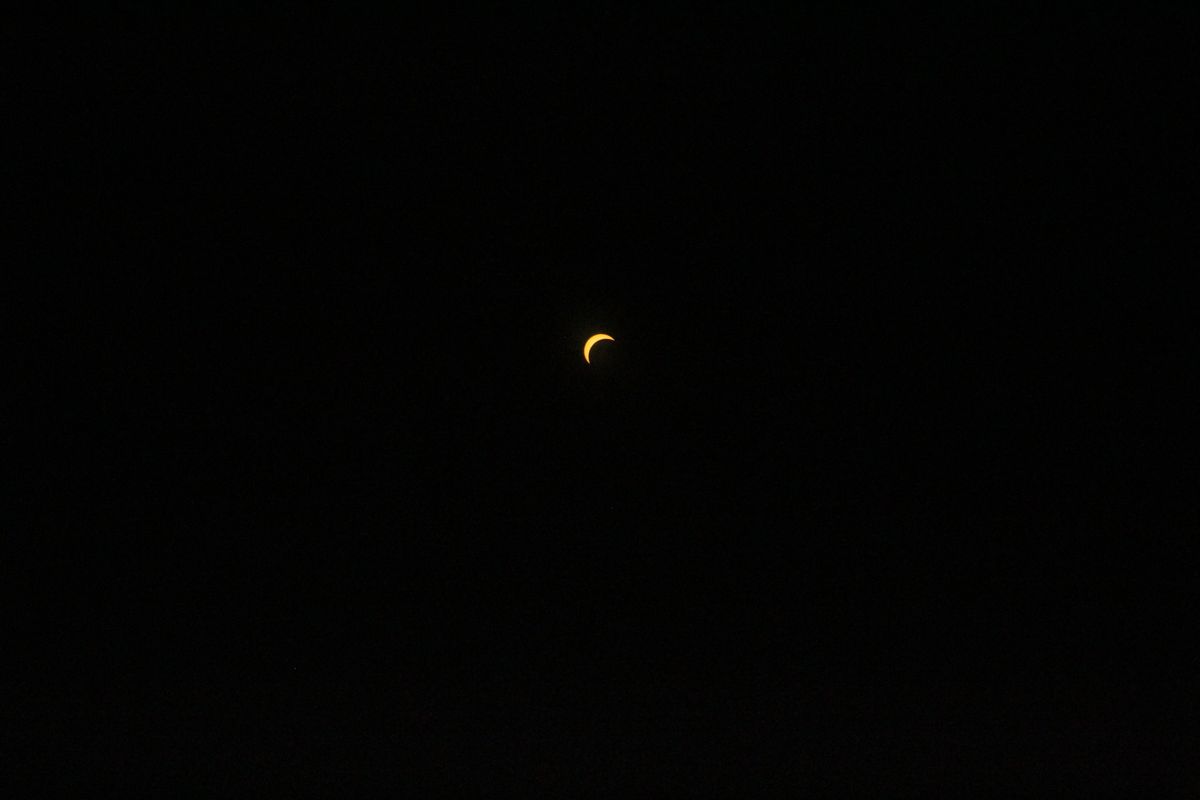 A Partial Eclipse That Stole Amherst’s Heart